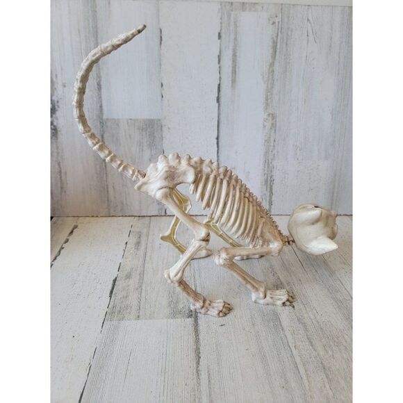 Crazy bonez Seasons cat skeleton Halloween props scary - Picture 4 of 8